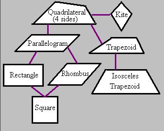 quadrilateral diagram tree